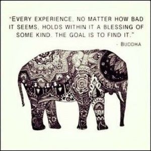 Meet your Posher, Jake